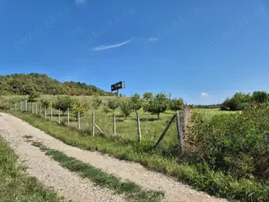 Închiriez vand  123  ari intravilan,zona industriala - imagine 4