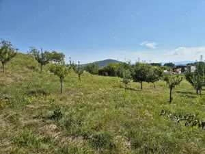 Închiriez vand  123  ari intravilan,zona industriala - imagine 8