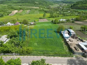 Teren de vânzare, Sat Valea Mare, Com. Roșiori, Bacău - imagine 4