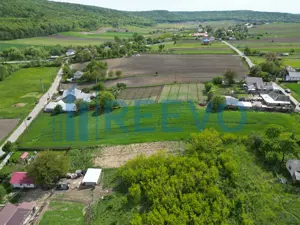 Teren de vânzare, Sat Valea Mare, Com. Roșiori, Bacău - imagine 3