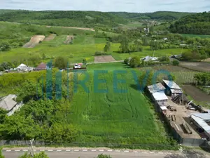 Teren de vânzare, Sat Valea Mare, Com. Roșiori, Bacău - imagine 6