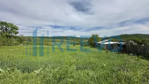 Teren de vânzare, Sat Valea Mare, Com. Roșiori, Bacău - imagine 7