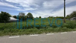 Teren de vânzare, Sat Valea Mare, Com. Roșiori, Bacău - imagine 9