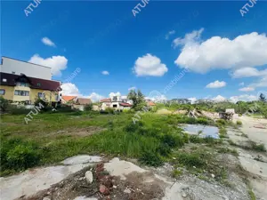 Teren intravilan de 5595 mp cu PUZ in desfasurare in zona Turnisor - imagine 2