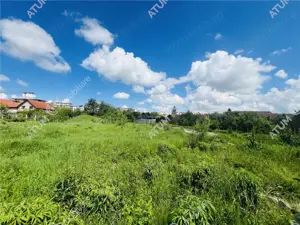 Teren intravilan de 5595 mp cu PUZ in desfasurare in zona Turnisor - imagine 6