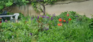 Oportunitate! Casa Bod pe un singur nivel, teren 980 mp pivnita, garaj ,mobilata