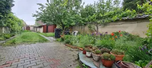 Oportunitate! Casa Bod pe un singur nivel, teren 980 mp pivnita, garaj ,mobilata - imagine 2