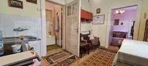 Oportunitate! Casa Bod pe un singur nivel, teren 980 mp pivnita, garaj ,mobilata - imagine 8