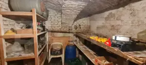 Oportunitate! Casa Bod pe un singur nivel, teren 980 mp pivnita, garaj ,mobilata - imagine 18