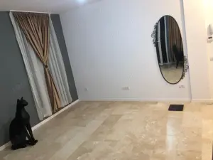 Apartament cu 2 camere etajul 1 Braytim - imagine 5