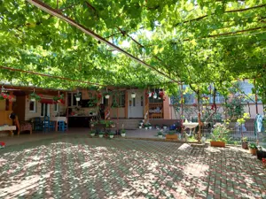 Vand casa in Valea Largă 