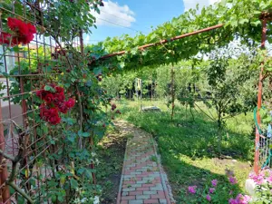 Vand casa in Valea Largă  - imagine 2