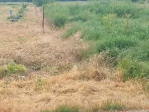 Teren intravilan Dumitrana  - imagine 6