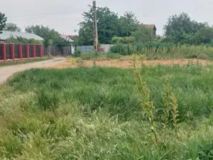 Teren intravilan Dumitrana  - imagine 5