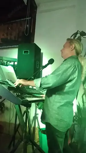 Lectii vioara orga pian tehnic si teorie muzicala - imagine 3