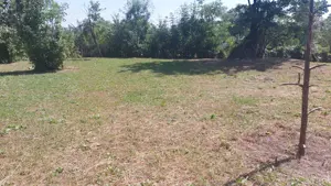 Teren in Brebu-Pietriceaua - imagine 6