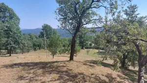 Teren in Brebu-Pietriceaua