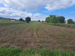 Teren extravilan in zona limitrofa orasului Dragasani - imagine 2 Teren extravilan in zona limitrofa orasului Dragasani - imagine 2