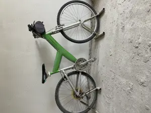 Bicicleta Pirin Farina