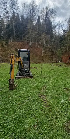 execut lucrari miniexcavator in judetul CS