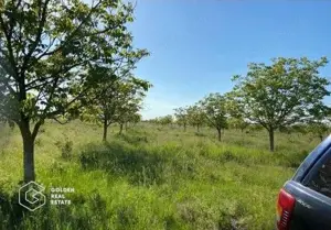 Teren extravilan Bazosul Nou, 500 000 mp - imagine 4