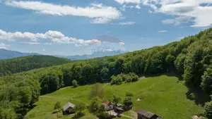 Teren de vânzare – Colonia 1 Mai, 5.310 mp, ideal pentru investiție - imagine 4