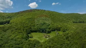 Teren de vânzare – Colonia 1 Mai, 5.310 mp, ideal pentru investiție - imagine 2