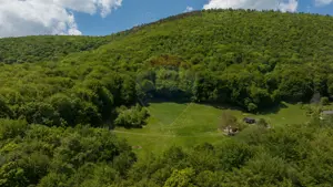 Teren de vânzare – Colonia 1 Mai, 5.310 mp, ideal pentru investiție - imagine 3