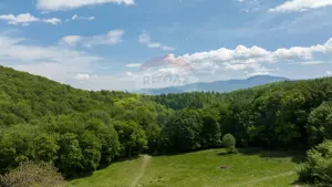 Teren de vânzare – Colonia 1 Mai, 5.310 mp, ideal pentru investiție