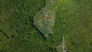 Teren de vânzare – Colonia 1 Mai, 5.310 mp, ideal pentru investiție - imagine 5