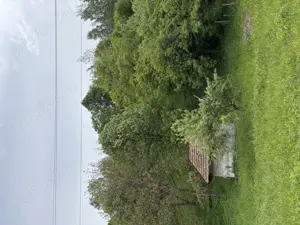 Vând casă și teren în Munteni, comuna Bulz, cu ieșire la DJ - imagine 7