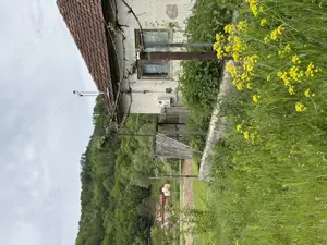 Vând casă și teren în Munteni, comuna Bulz, cu ieșire la DJ - imagine 9