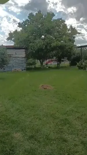 Vand casa mare in comuna Checea jud.timis 55000 euro - imagine 10