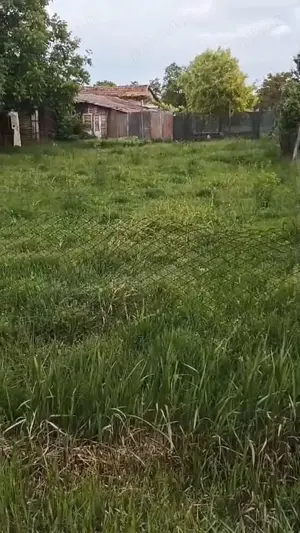 Vand casa mare in comuna Checea jud.timis 55000 euro - imagine 9