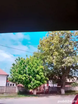 Două case,în curte cu teren 972mp.la stradă asfaltată  - imagine 6 Două case,în curte cu teren 972mp.la stradă asfaltată  - imagine 6