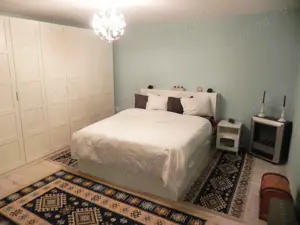 Casa Garbau (Cornesti), la 30 minute de Cluj Napoca cu teren 9000 mp2, fotovoltaic, foraj apa - imagine 8