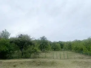 Casa Garbau (Cornesti), la 30 minute de Cluj Napoca cu teren 9000 mp2, fotovoltaic, foraj apa - imagine 4