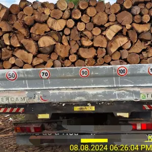 Lemne de foc pentru sobe,centrale,seminee - imagine 3