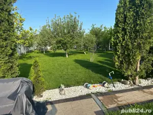 teren intravilan 3.000 m2