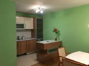 Se inchiriaza apartament cu 2 camere in zona Noua - imagine 4