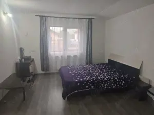 Casa   Jiblea Veche - Calimanesti    - imagine 12