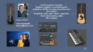 Servicii productie muzicala