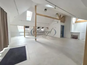 Sediu reprezentativ si exclusivist in zona premium - imagine 16