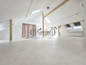 Sediu reprezentativ si exclusivist in zona premium - imagine 14