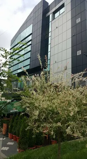 Vand imobil P+3 comercial, birouri, 490mp., central Cina   Rm Valcea - imagine 2