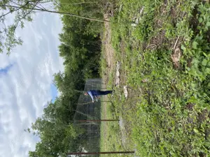 vand teren baneasa - sisesti - imagine 2