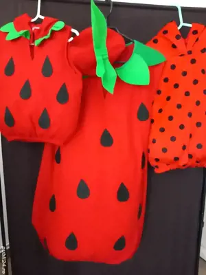 costume printese si cavalieri ,carnaval de închiriat  - imagine 5