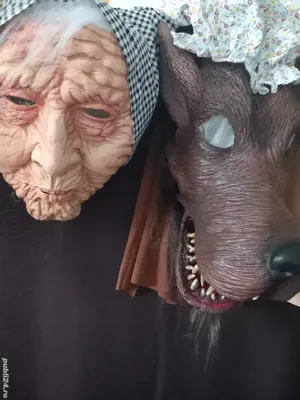 costume de poveste Bistrița 