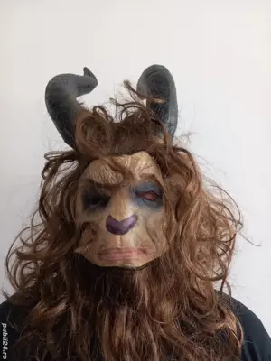 costume de poveste Bistrița  - imagine 3