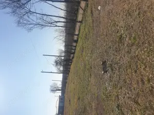 Vând teren intravilan 3x700 mp - imagine 3